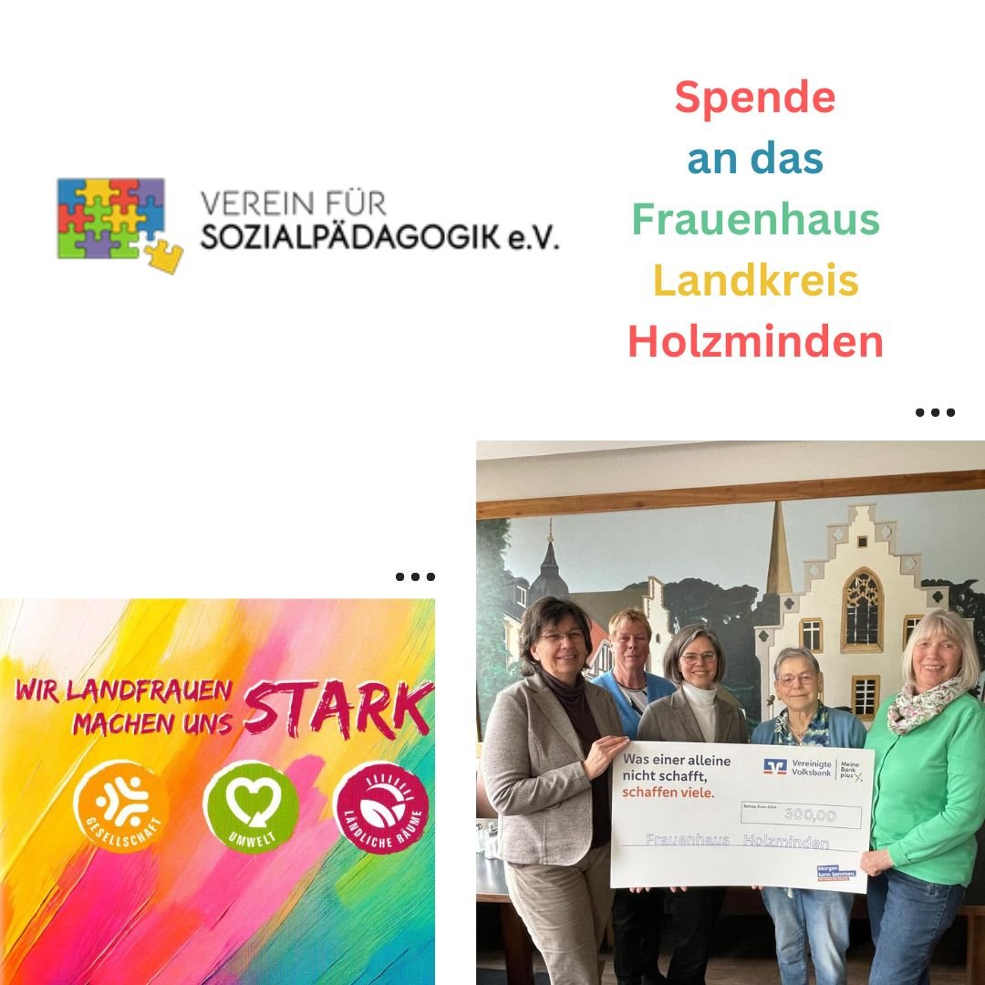 2026_04_11_LF_Spenden%C3%BCbergabeFrauenhausHolzminden